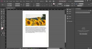 Adobe Indesign 2025 Full Español Gratis 3